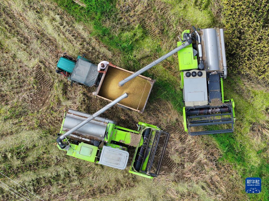 龙虎游戏破解方法